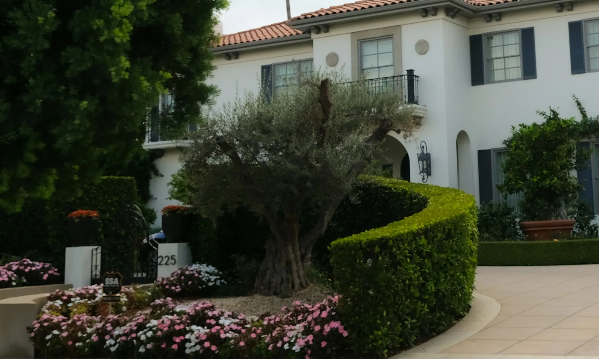 Traditional house behind a hedge